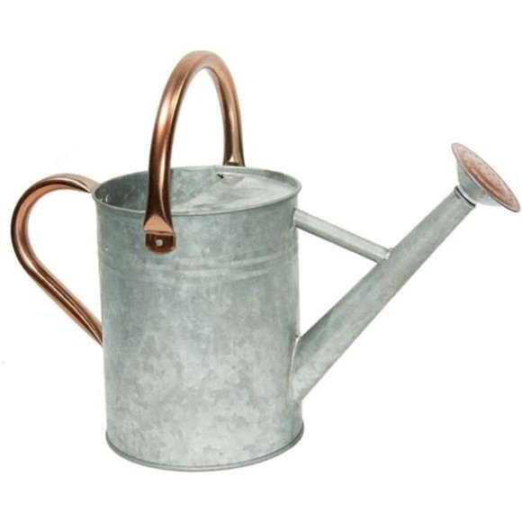 One Gallon Watering Cans Stainless Steel for Plants Watering (Zinc 1 Gallon) - Picture 1 of 7